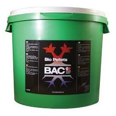 BIO PALLET / BIO KORRELS...