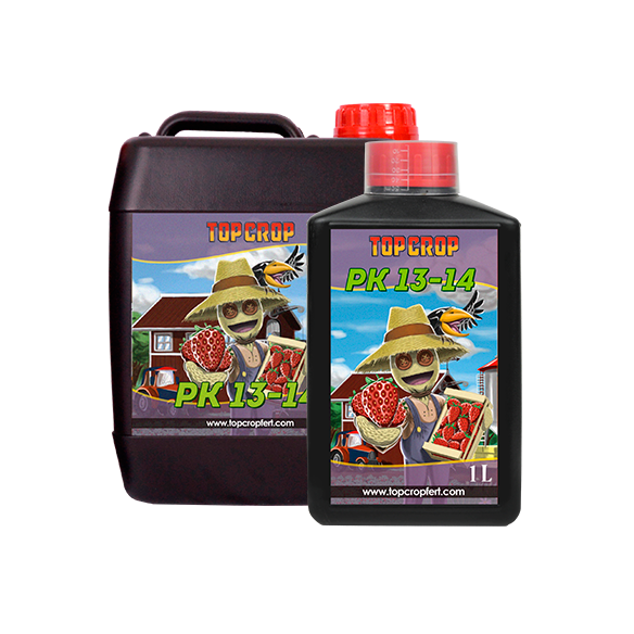 PK 13/14  1LT-TOP CROP