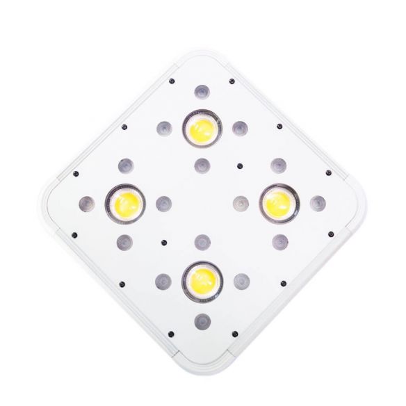 APOLLO EVOLUTION 4 127W-DELIGHT