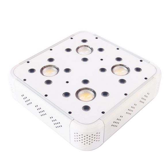 APOLLO EVOLUTION 4 127W-DELIGHT