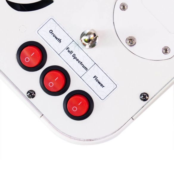 APOLLO EVOLUTION 4 127W-DELIGHT