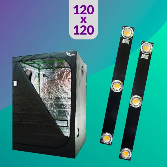 PACK 120X120 DUO LED SPECTRA SLIM - 400W