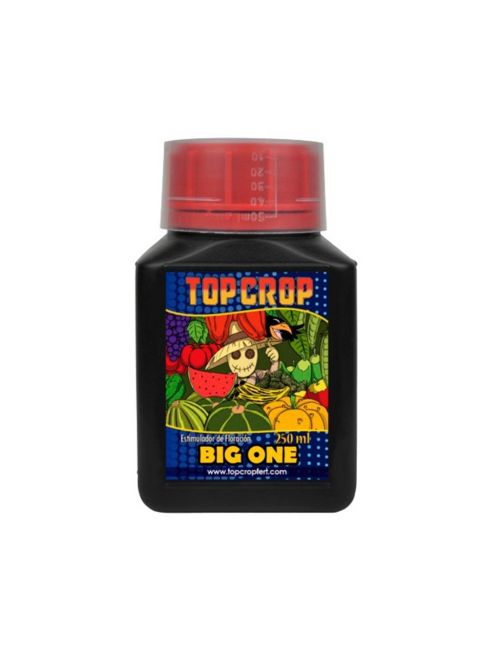 BIG ONE 250ML-TOP CROP