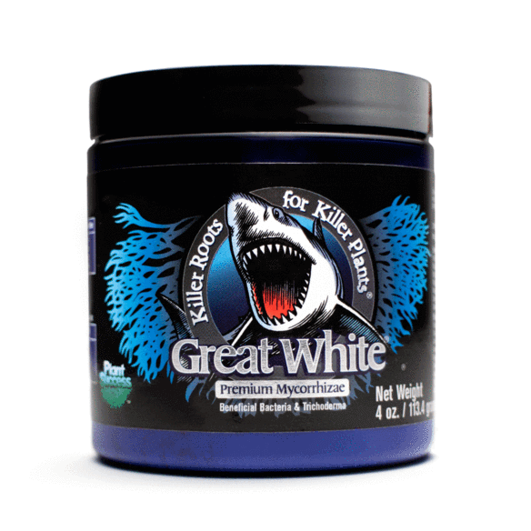 GREAT WHITE PREMIUM 113G-PLANT SUCCESS