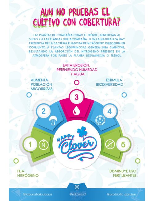 HAPPY CLOVER 5G-MICOTRUE