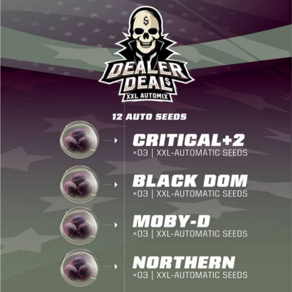 DEALER DEAL XXL  AUTO X12 -BSF