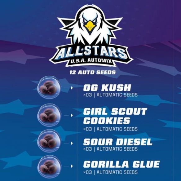 ALL STARS USA MIX  AUTO X12 -BSF