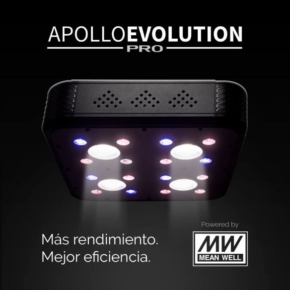 APOLLO EVOLUTION PRO 4 150W-DELIGHT