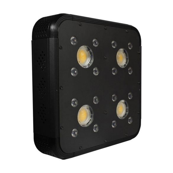 APOLLO EVOLUTION PRO 4 150W-DELIGHT