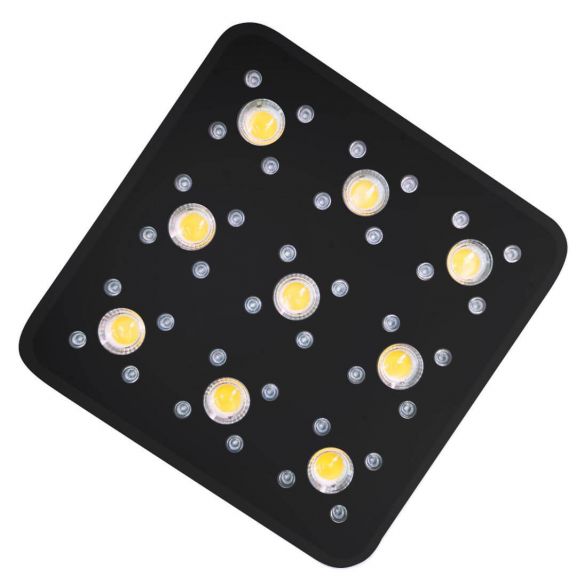 APOLLO EVOLUTION PRO 9 300W-DELIGHT