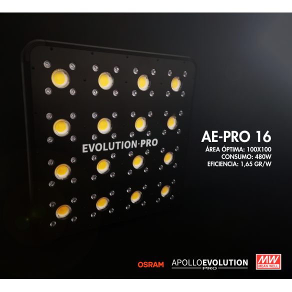 APOLLO EVOLUTION PRO 16 480W-DELIGHT