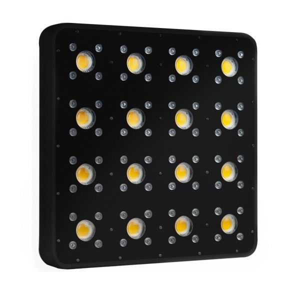 APOLLO EVOLUTION PRO 16 480W-DELIGHT