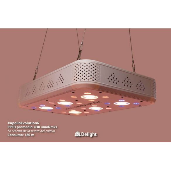 APOLLO EVOLUTION 6 180W-DELIGHT