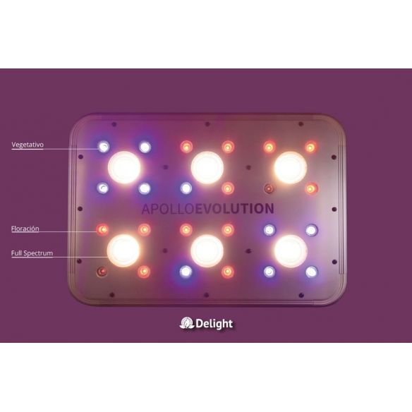 APOLLO EVOLUTION 6 180W-DELIGHT