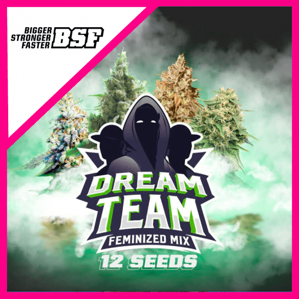 DREAM TEAM MIX FEM X12-BSF