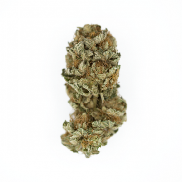 ROYAL COOKIES USA PREMIUM FEM X3-ROYAL QUEEN