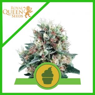 ROYAL CREAMATIC AUTO...