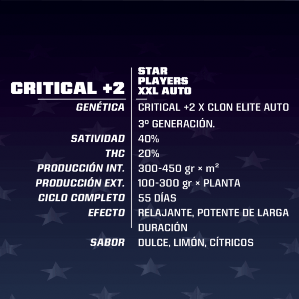 CRITICAL +2 XXL AUTO X2-BSF