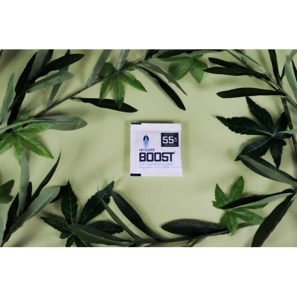 REGULADOR DE HUMEDAD 8G 55%-INTEGRA BOOST