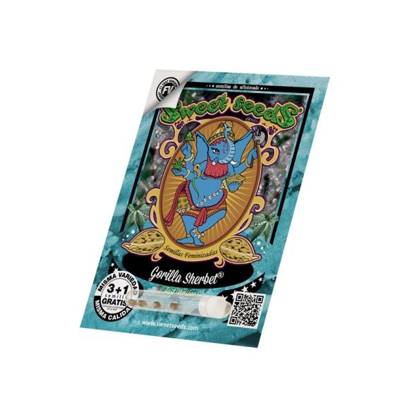 GORILLA SHERBET F1 FEM® X3+1-SWEET SEEDS