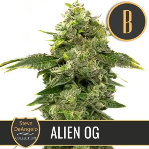 STEVE'S ALIEN OG FEM X3...