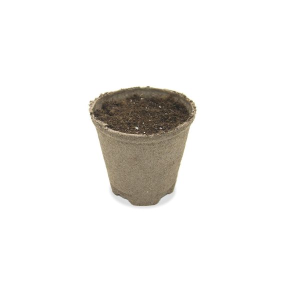 MACETA BIODEGRADABLE 430CC 10UN-JIFFY