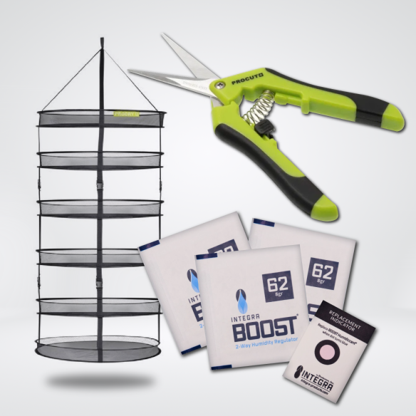 KIT CURADO INICIAL 75CM