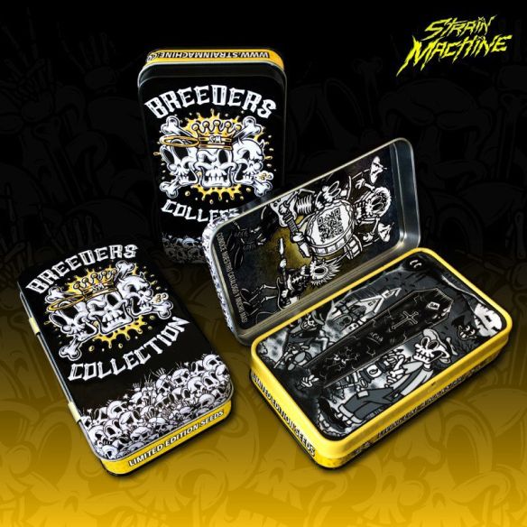 BLACK DOMINA X BLACK DOMINA FEM X3 - STRAIN MACHINE