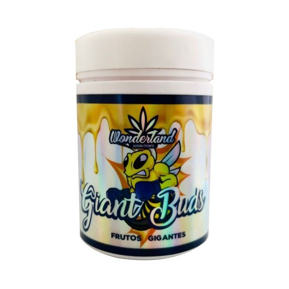 GIANT BUDS PK52-34 120GR-WONDERLAND