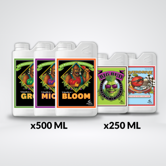 * TOTAL PACK AN11 ENGORDE