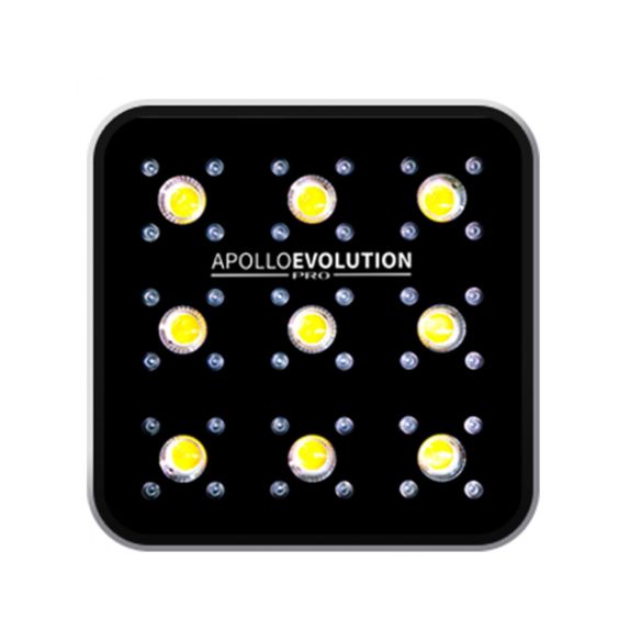 APOLLO EVOLUTION PRO 9 300W-DELIGHT