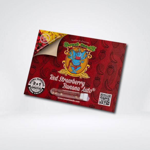 RED STRAWBERRY BANANA AUTO® X3+1-SWEET SEEDS