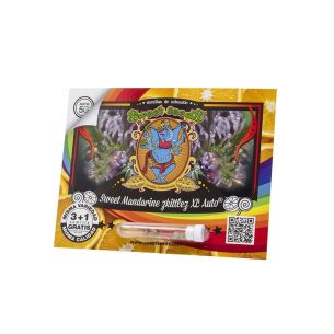 SWEET MANDARINE ZKITTLEZ XL...