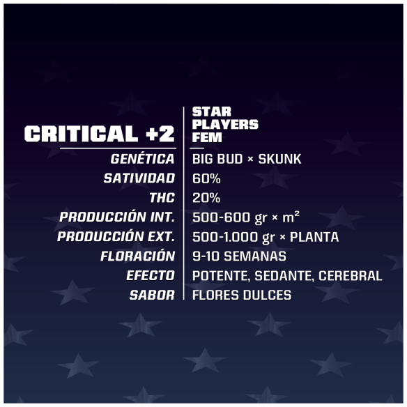 CRITICAL +2 FEM  X4 -BSF