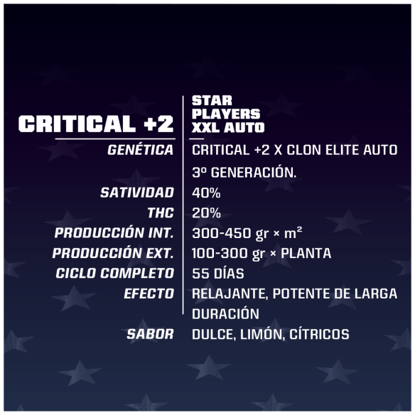 CRITICAL +2 XXL  AUTO X7-BSF
