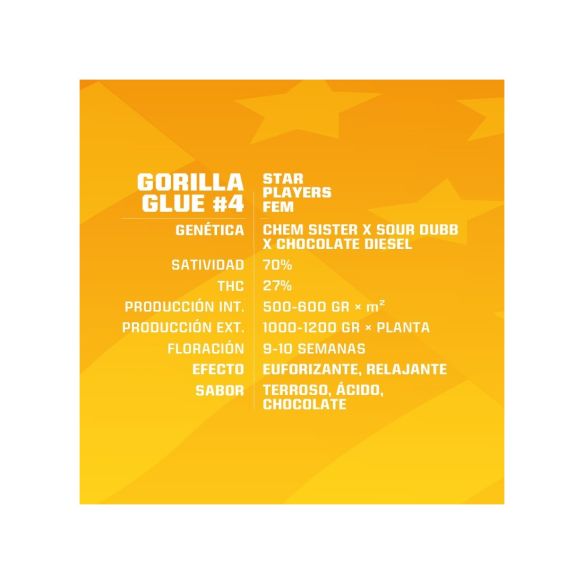 GORILLA GLUE N4 FEM  X2-BSF