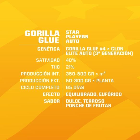 GORILLA GLUE AUTO GK X2-BSF