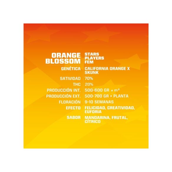 ORANGE BLOSSOM FEM X4 -BSF