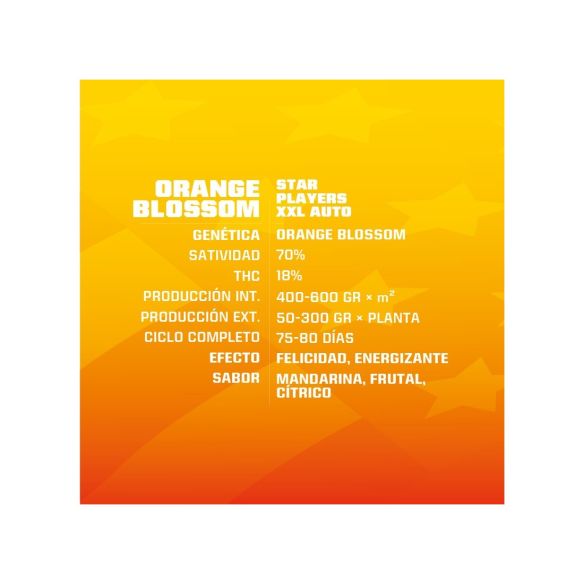 ORANGE BLOSSOM XXL  AUTO X4 -BSF