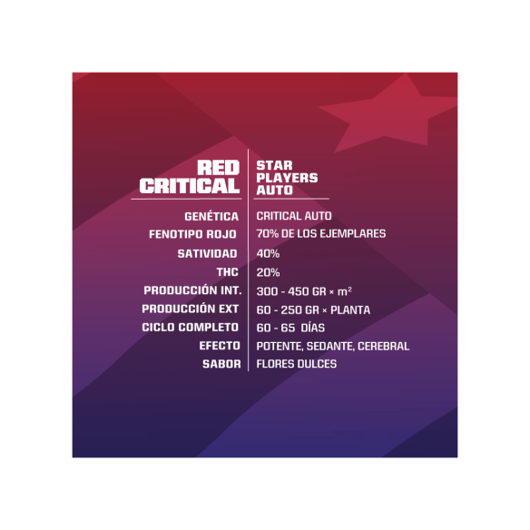 RED CRITICAL  AUTO X7 -BSF