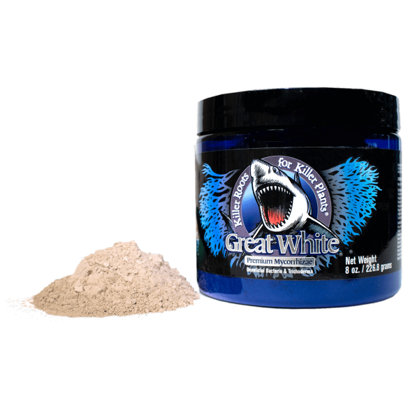 GREAT WHITE PREMIUM 226GR-PLANT SUCCESS