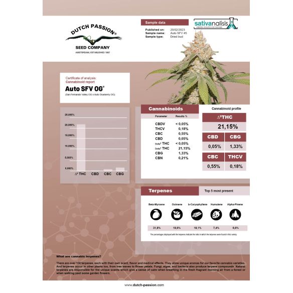 SFV OG AUTO X3-DUTCH PASSION