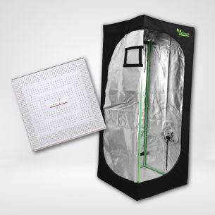 KIT QUANTUM BASICO LIGHT 80X80