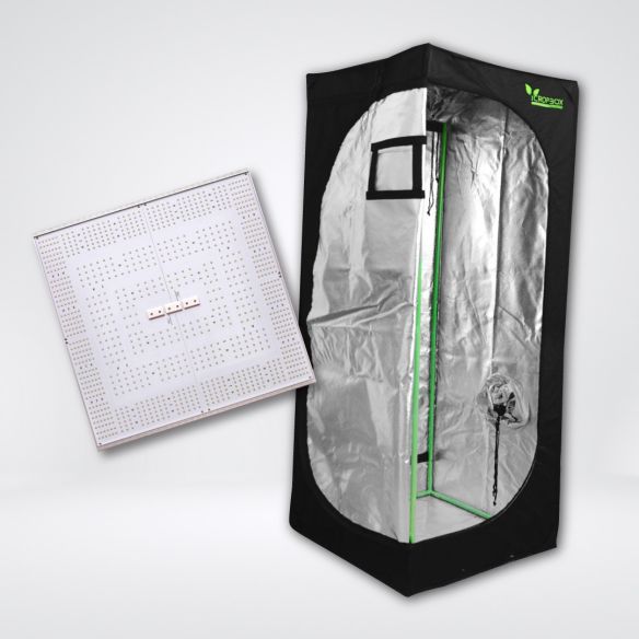 KIT QUANTUM BASICO LIGHT 80X80