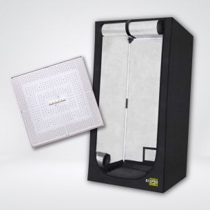 KIT QUANTUM BASIC ECO...