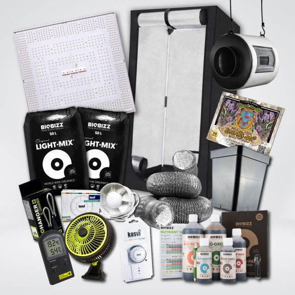 KIT QUANTUM BASIC 5 ECO 100X100X200