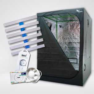 KIT QUANTUM 2 L520 LIGHT...