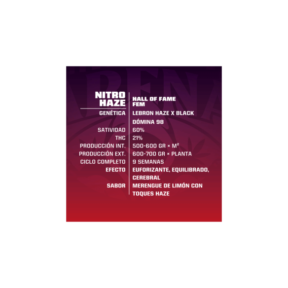 BSF SEEDS NITRO HAZE FEM X7