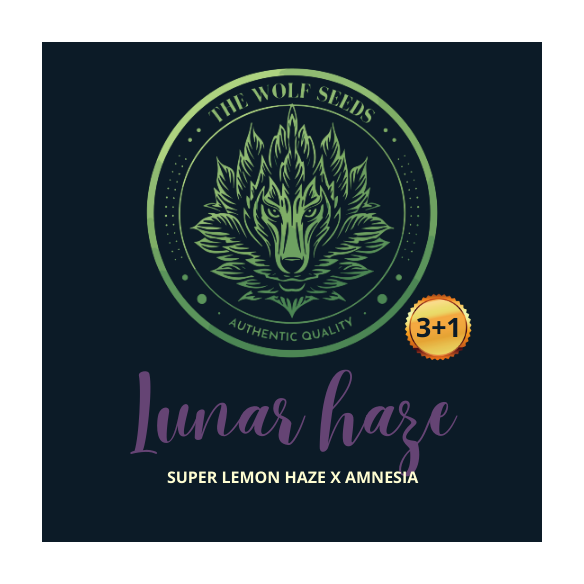 LUNAR HAZE FEM X3+1-THE WOLF SEEDS