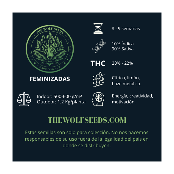 LUNAR HAZE FEM X3+1-THE WOLF SEEDS